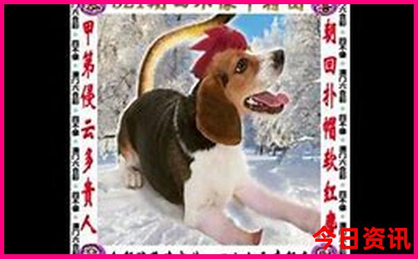 百色十大必去景点